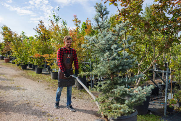 Best Seasonal Cleanup (Spring/Fall)  in Elkhorn, WI
